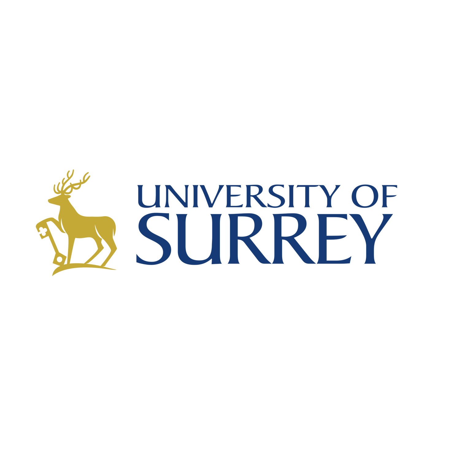 University of Surrey logo